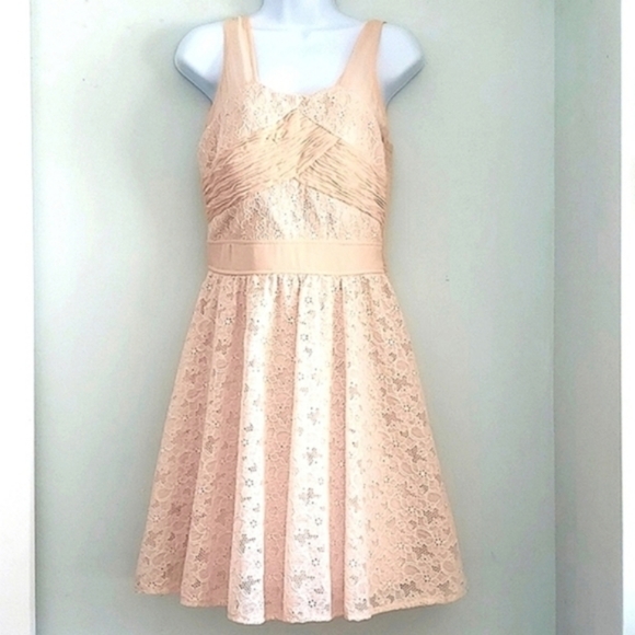 NWT Lace soft dusty rose pink smocked mini dress size medium - Picture 1 of 9